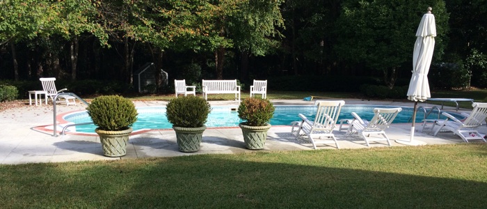 cannonball pool and spa chemical only maintenance
